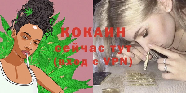 дживик Балахна